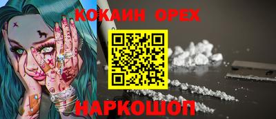 СК Кандалакша