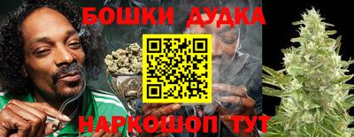 СК Кандалакша