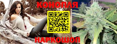 тгк Камышлов