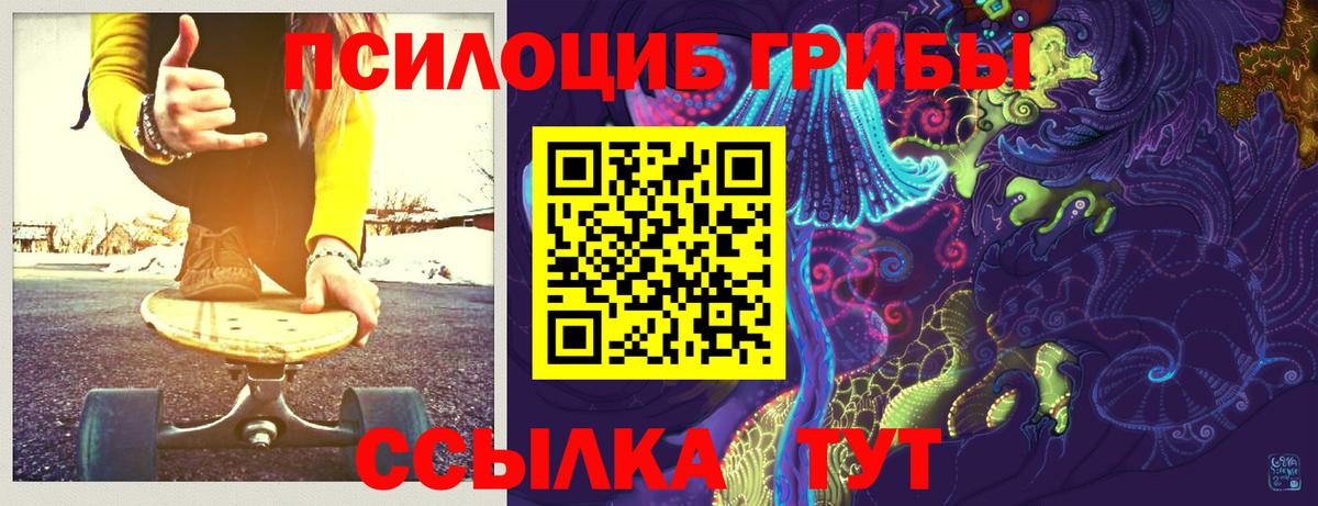 Псилоцибиновые грибы ЛСД  Псилоцибиновые грибы GOLDEN TEACHER  Вход с VPN  Чернушка 